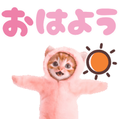 [LINEスタンプ] ▶︎動く！ほんわか♡ねこの画像（メイン）