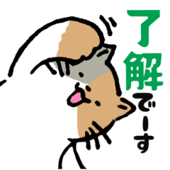 [LINEスタンプ] ゆるねこの日常01