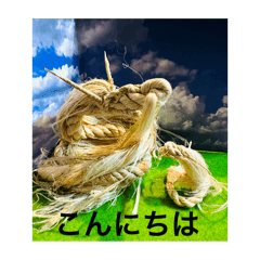 [LINEスタンプ] 精麻龍の金ちゃん