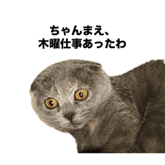 [LINEスタンプ] えりー©︎4