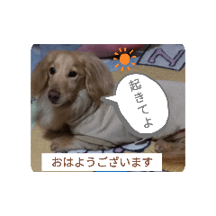 [LINEスタンプ] 永斗くんスタンプ