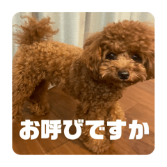 [LINEスタンプ] ピノくんのもふもふスタンプ