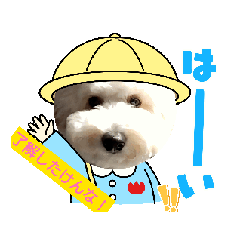 [LINEスタンプ] とある日の犬の大分弁2