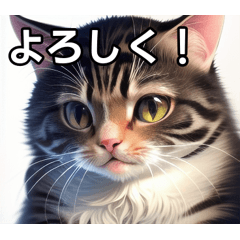 [LINEスタンプ] スタンプで猫ちゃんの幸せを応援