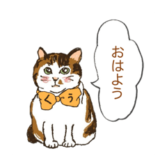 [LINEスタンプ] キジ猫くぅさんの挨拶スタンプ