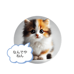 [LINEスタンプ] 関西弁の可愛い三毛猫の画像（メイン）