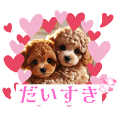 [LINEスタンプ] 可愛いトイプードルの日常会話集