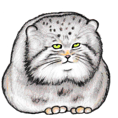 [LINEスタンプ] なんだか偉そうなマヌルネコ