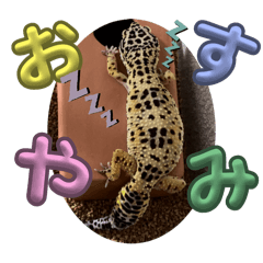 [LINEスタンプ] ヒョウモントカゲモドキのひょーたろー♡6