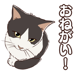 [LINEスタンプ] ねこちゃんぷるー 2皿目