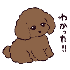 [LINEスタンプ] トイプードルです.