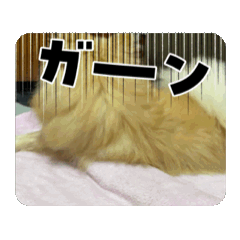 [LINEスタンプ] うごくめいちゃんすずちゃんだよの画像（メイン）