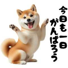 [LINEスタンプ] よく使う日常会話☆柴犬ちゃん