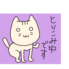 [LINEスタンプ] タマちゃん（白猫）の画像（メイン）