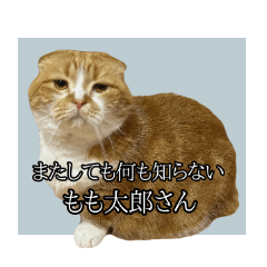 [LINEスタンプ] ももなつまみイルふく