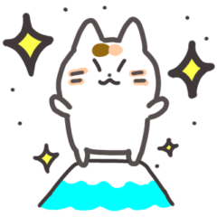 [LINEスタンプ] こめこの可愛い猫スタンプ