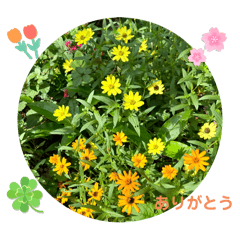 [LINEスタンプ] 小さな春