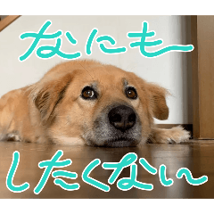 [LINEスタンプ] めいTスタンプ