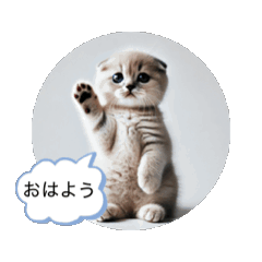 [LINEスタンプ] 愛しのスコティッシュの画像（メイン）