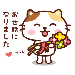 [LINEスタンプ] ねこのニャンタン_ なかよしスタンプ