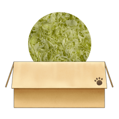 [LINEスタンプ] シャキシャキキャベツスタンプ
