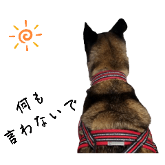 [LINEスタンプ] 愛犬のマイケル スタンプ