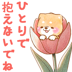 [LINEスタンプ] 思いやりの春❤️いやしばいぬ❤️