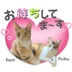 [LINEスタンプ] フクとツゥの毎日スタンプ