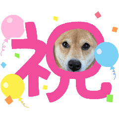 [LINEスタンプ] 福ちゃんだね♡ありがとう・おめでとう