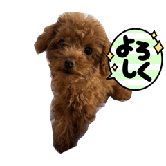 [LINEスタンプ] ララ達2