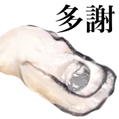 [LINEスタンプ] 牡蠣 大粒 【台湾語のみ】