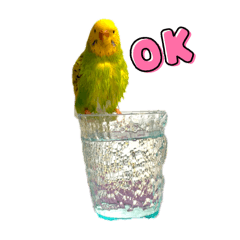 [LINEスタンプ] ソラミとやまとの日常挨拶