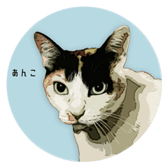 [LINEスタンプ] 日常使える・猫のあんこと仲間たち