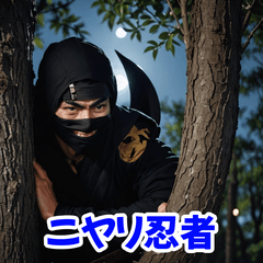 [LINEスタンプ] 忍者の冒険 aaa