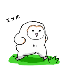 [LINEスタンプ] 走るフクロウさんの画像（メイン）