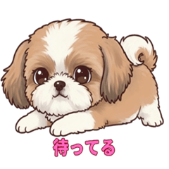 [LINEスタンプ] シーズーといっしょに