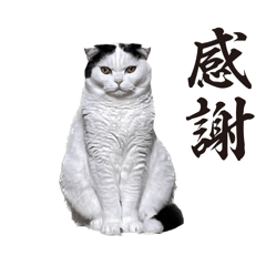 [LINEスタンプ] 犬猫待ち合わせ