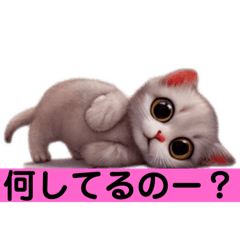 [LINEスタンプ] リアルかわいい子猫のスタンプ