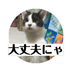 [LINEスタンプ] 子猫ロイミトスタンプ②アニメーションver