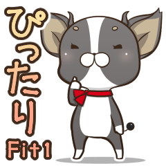 [LINEスタンプ] 僅かな感情を選べるスタンプ【ちわ犬】