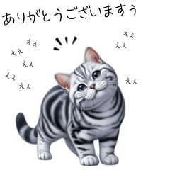 [LINEスタンプ] アメショのイラスト風