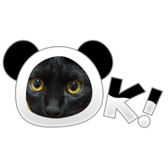 [LINEスタンプ] こげという名の黒猫女子の画像（メイン）