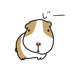 [LINEスタンプ] モルモット バボ