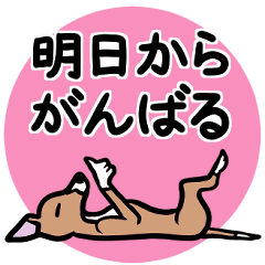 [LINEスタンプ] 人生山あり谷ありイタグレ達のスタンプ