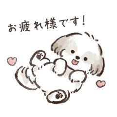 [LINEスタンプ] ほんわかシーズー犬の毎日使えるスタンプの画像（メイン）