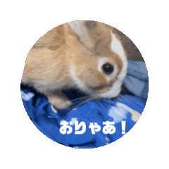 [LINEスタンプ] ぐーたらもちうさぎうごくよ