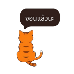 [LINEスタンプ] かわいいタイのオレンジ色の猫の画像（メイン）