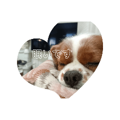 [LINEスタンプ] ヴィノスタンプ2