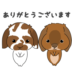 [LINEスタンプ] こはくくん、むさしくん