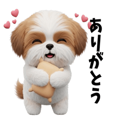 [LINEスタンプ] かわいいシーズーの表情3Dスタンプ